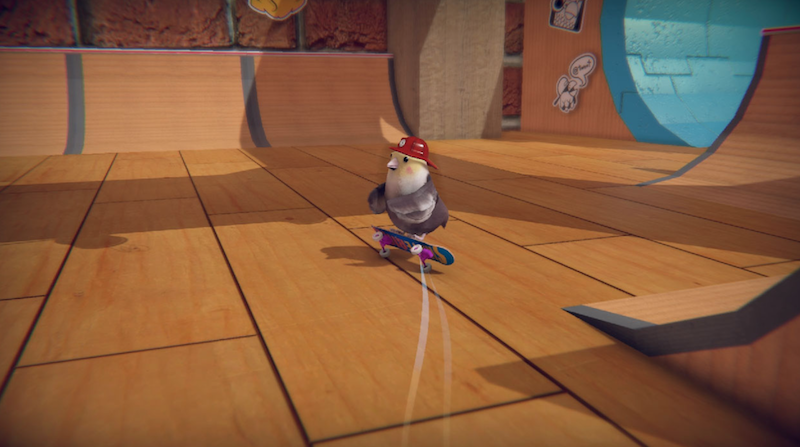 SkateBIRD