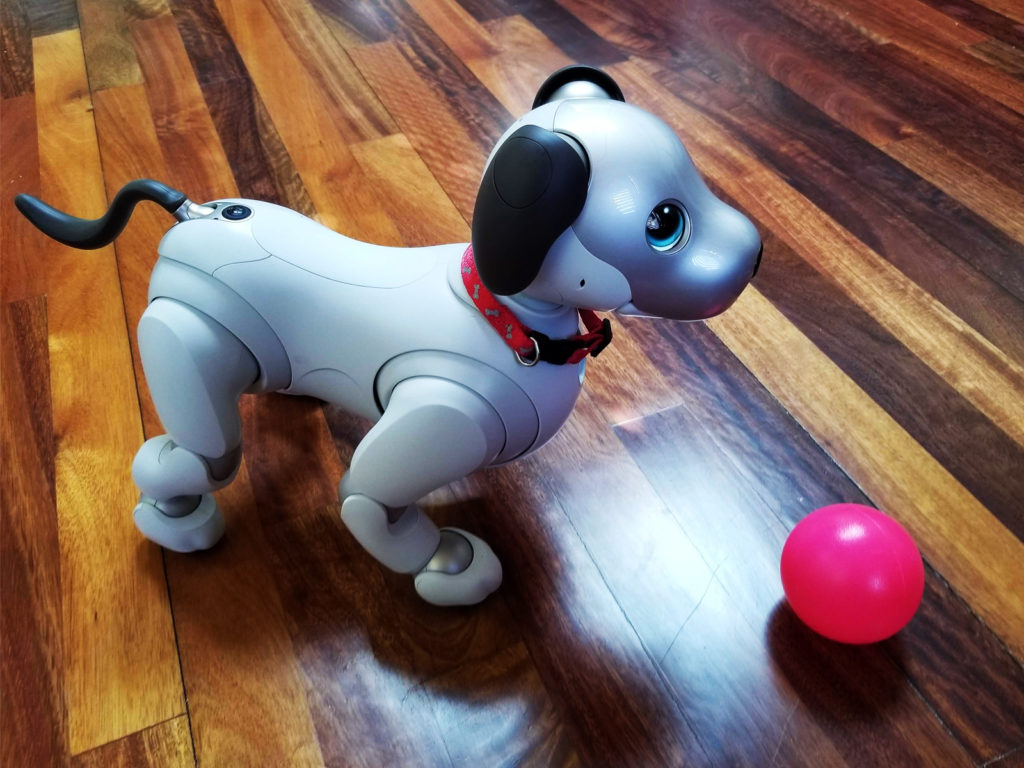 aibo
