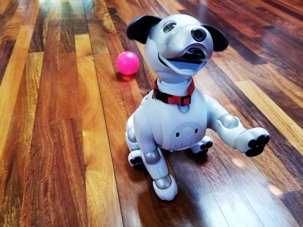 aibo