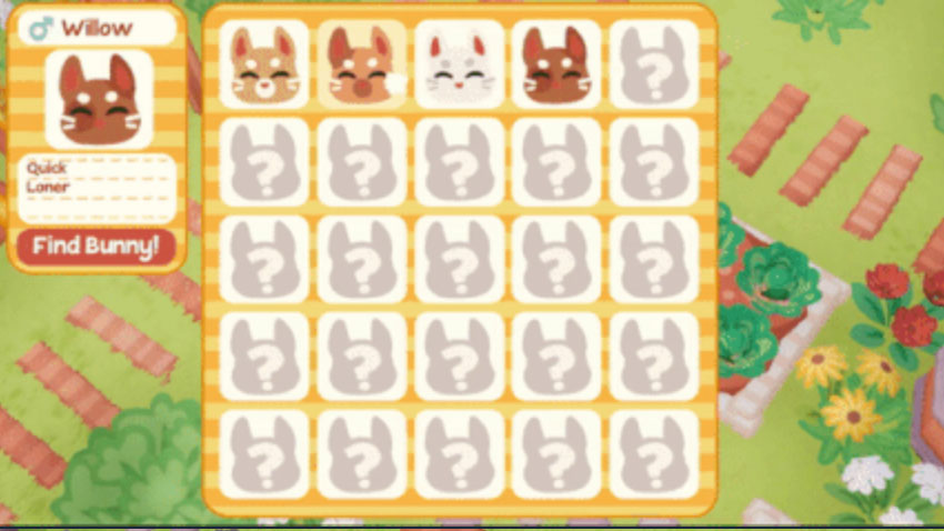 Bunny Park Collection