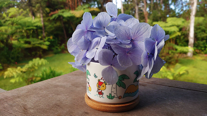 Tiny garden Pals Animal Crossing Themed Garden Kit